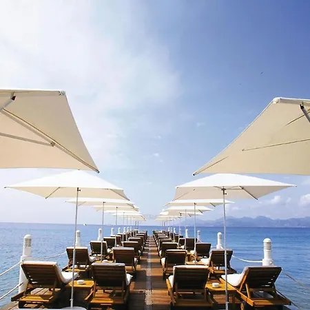 Apartment Montrachet Cannes